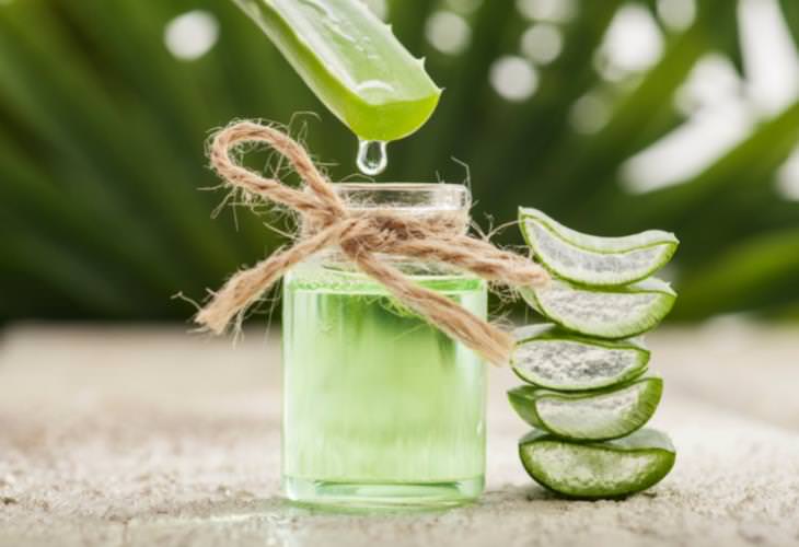 Natural Tips to Beat Hay Fever, aloe vera