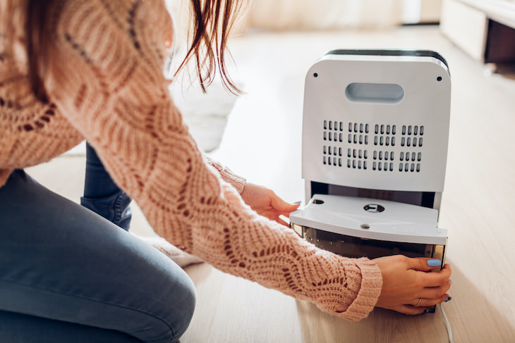 Why Your Basement Smells Musty and How to Eliminate It dehumidifier