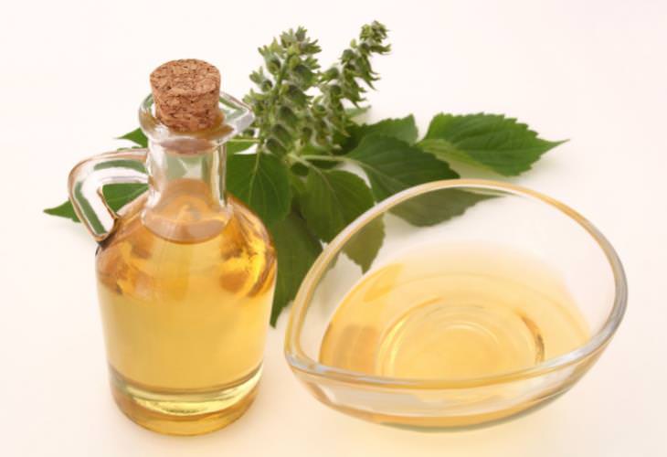 Natural Tips to Beat Hay Fever, Perilla frutescens herb