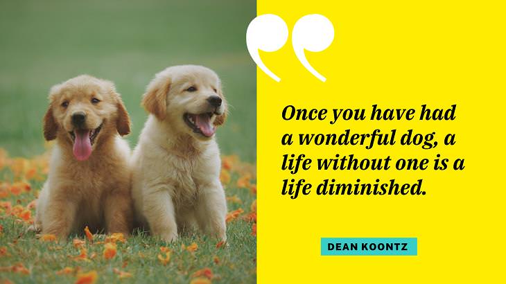 Cute Dog Quotes, pet owner