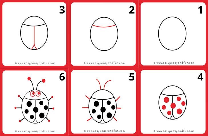 Animal Drawing Tutorials for Kids and Beginners ladybug