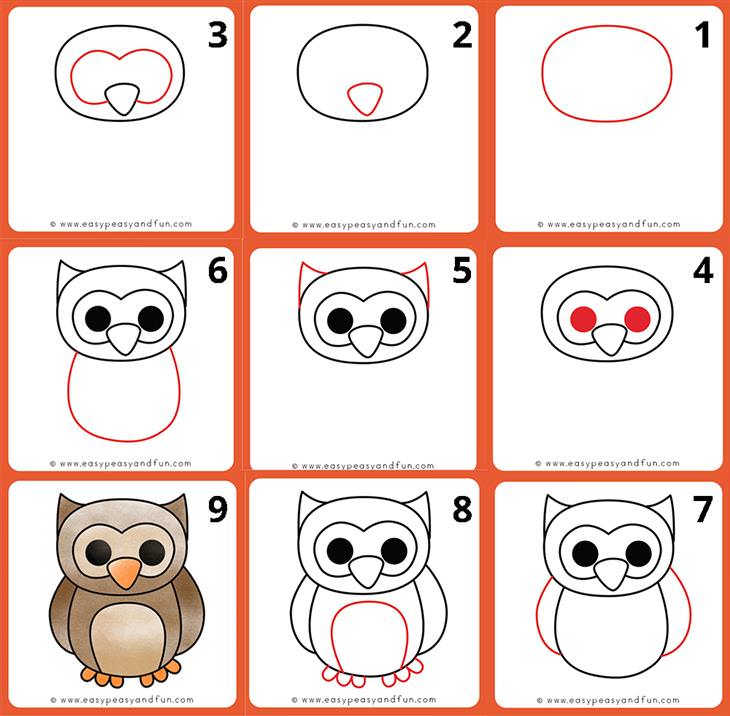 Animal Drawing Tutorials for Kids and Beginners owl