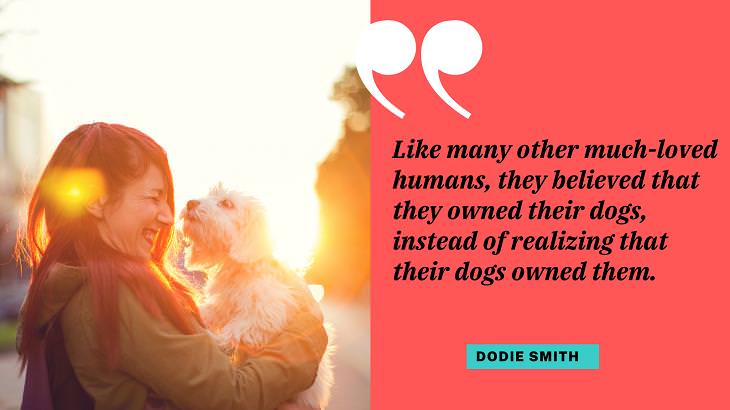 Cute Dog Quotes, dogs and humans