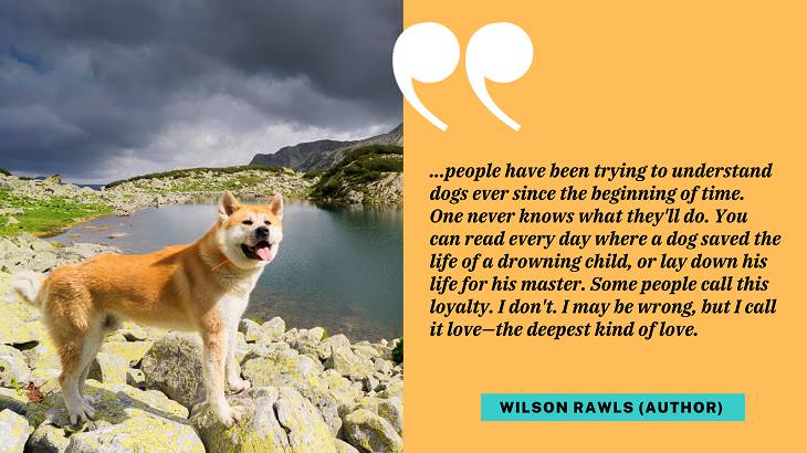 Cute Dog Quotes, saviors
