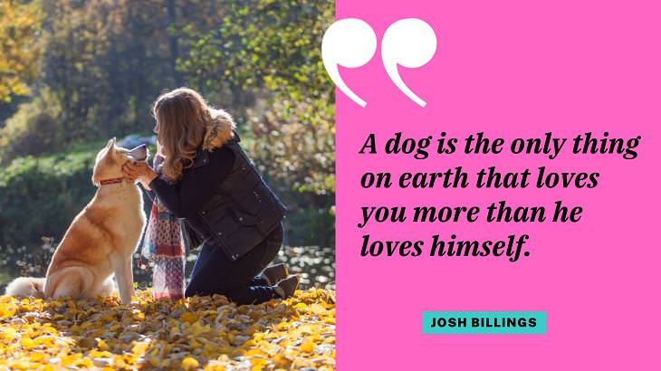 Cute Dog Quotes, affection