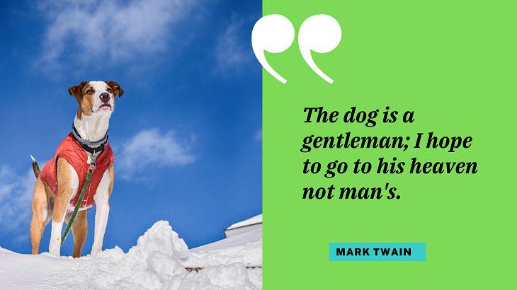 Cute Dog Quotes, gentleman 