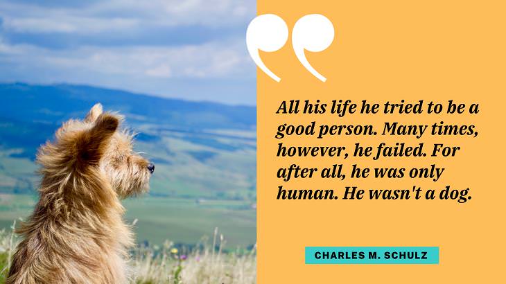 Cute Dog Quotes, companion