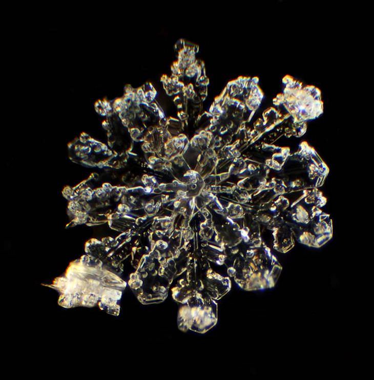 Ordinary Objects Through Microscopic Lens snowflake