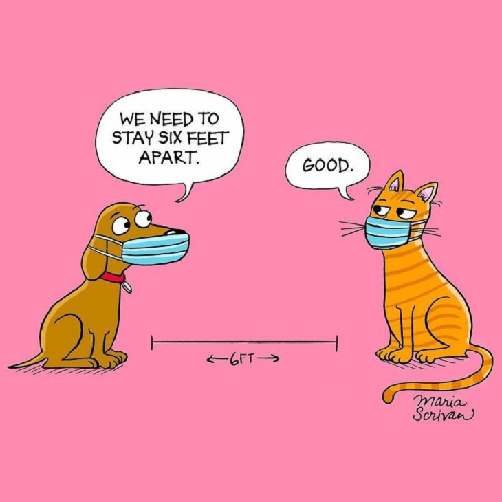 Cute and Funny Single Panel Comics, dogs and cats