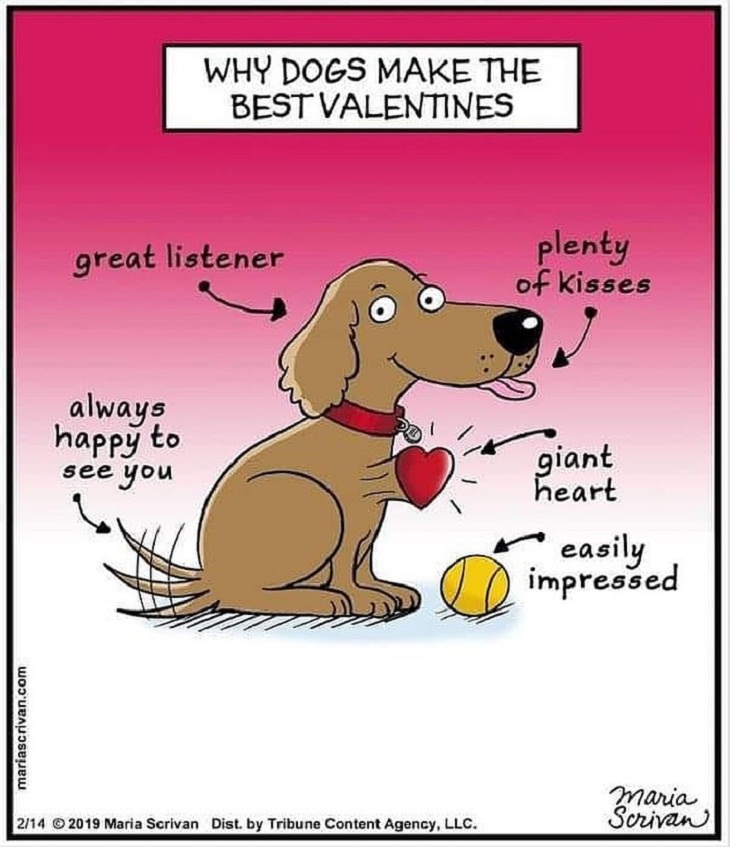 Cute and Funny Single Panel Comics, dogs