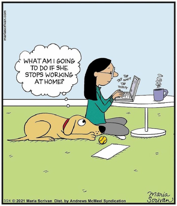 Cute and Funny Single Panel Comics, dogs and humans