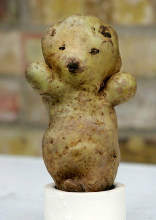 Oddly Shaped Fruits and Veggies teddy bear potato