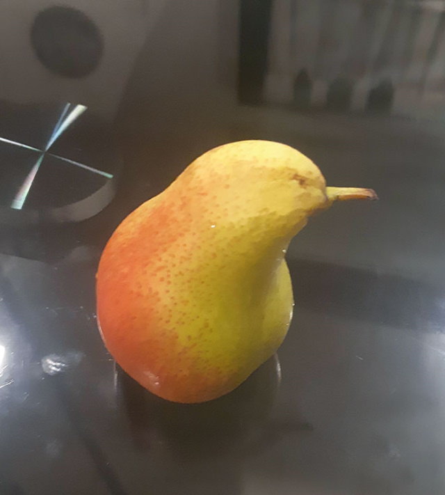 Oddly Shaped Fruits and Veggies pear bird