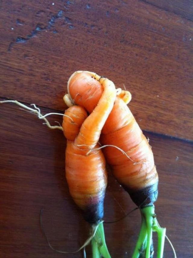 Oddly Shaped Fruits and Veggies hugging carrots