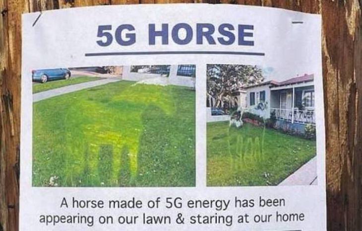 Funny Signs, horse