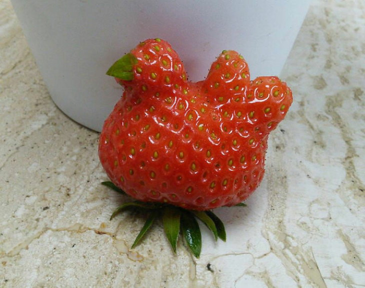 Oddly Shaped Fruits and Veggies strawberry chicken