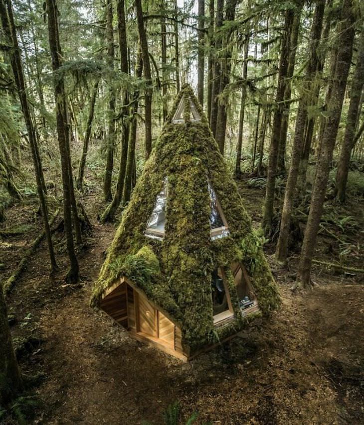 Enchanting Nature Cabins Around the World Pacific Northwest rainforest 