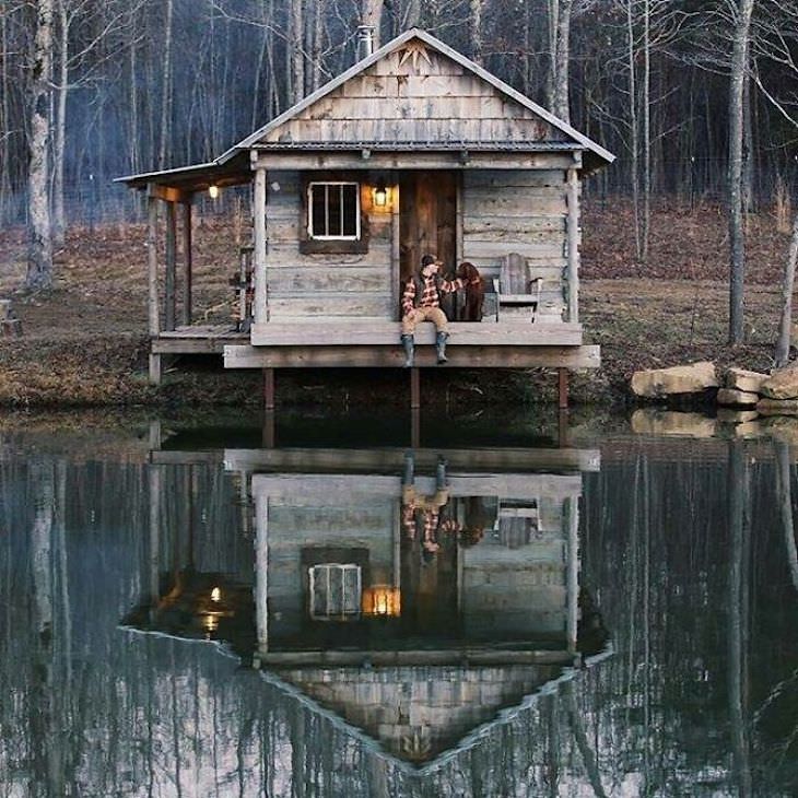 Enchanting Nature Cabins Around the World dog