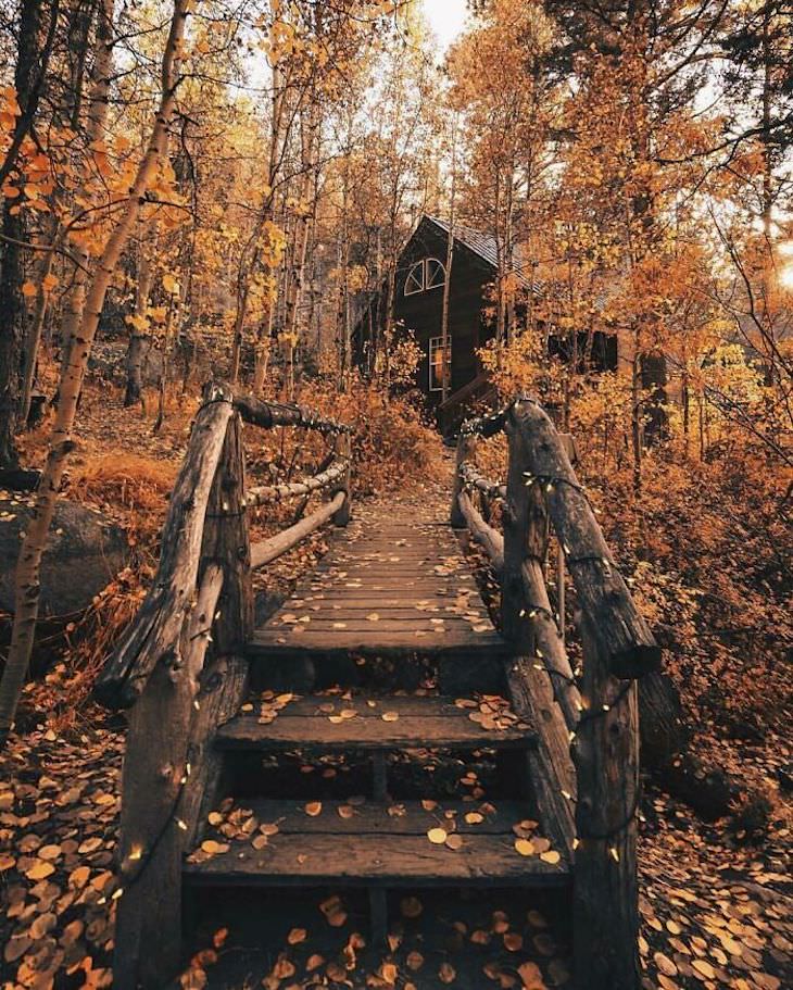 Enchanting Nature Cabins Around the World autumn 