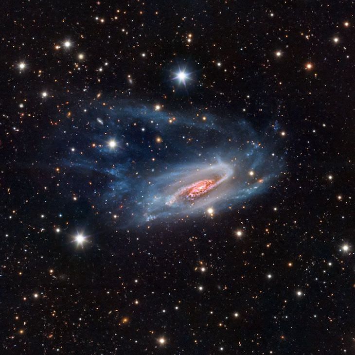 Astronomy Photographer of the Year Finalists NGC 3981, by Bernard Miller 