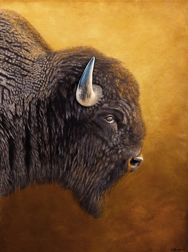 Brilliantly Detailed Animal Portraits by Sophie Green bison