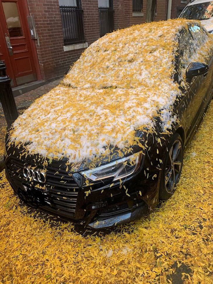 17 Times Extreme Weather  Ruined People’s Day snow and leaves cover car