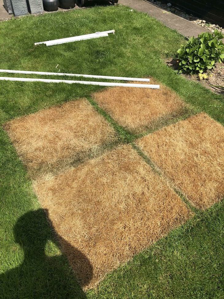 17 Times Extreme Weather  Ruined People’s Day burned grass