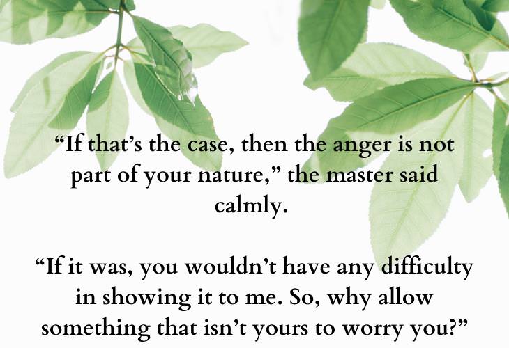 Thought-Provoking Zen Parables, anger management 