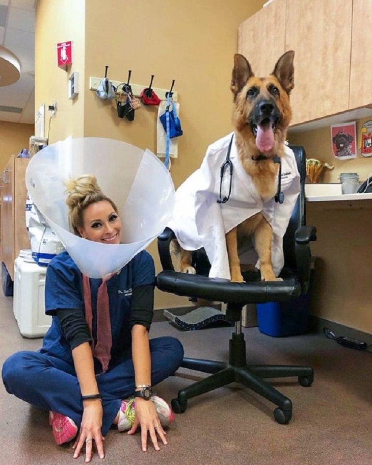 Photos of Vets With Cute Pets, dog