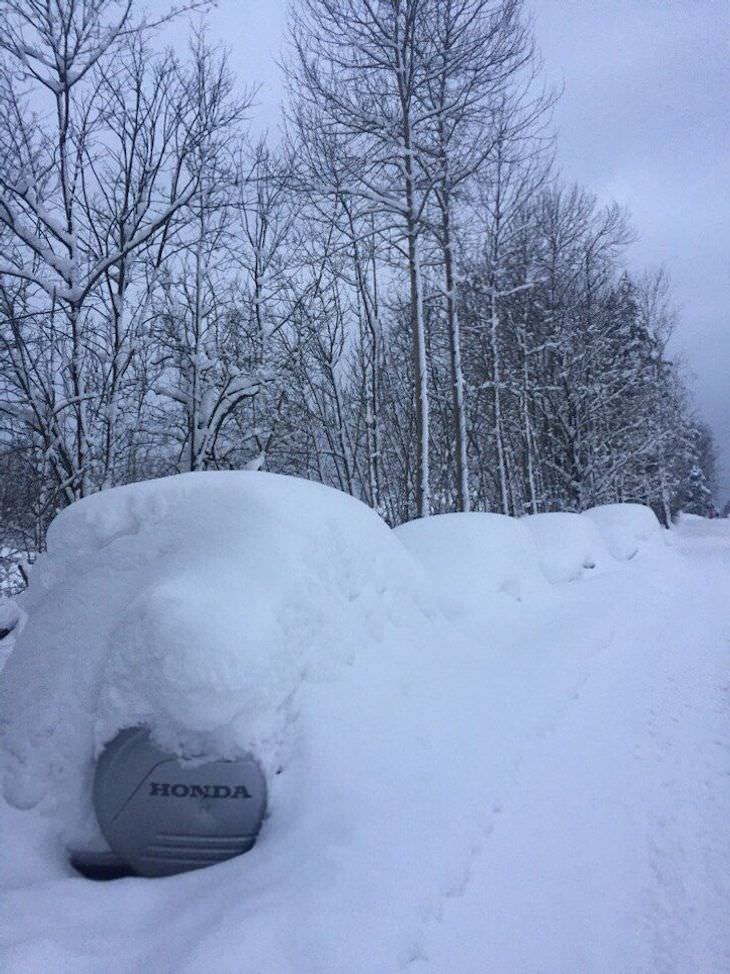 Life In Norway in 14 Fascinating Images cars under snow