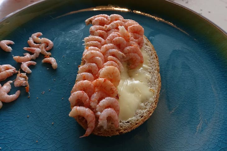 Life In Norway in 14 Fascinating Images open shrimp sandwich