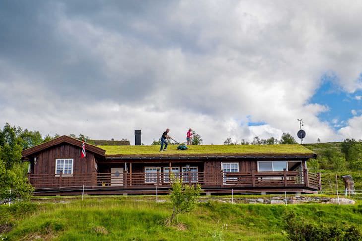 Life In Norway in 14 Fascinating Images mowing lawn on roof