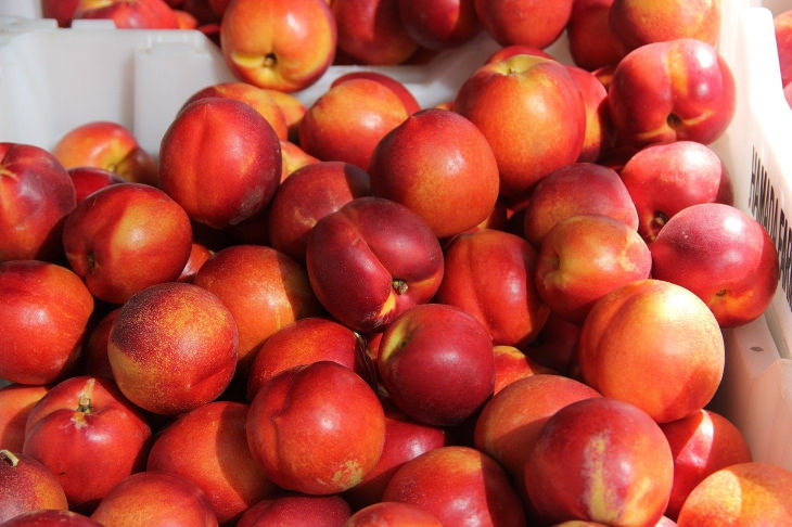 Fruits and Vegetables to Buy Organic nectarines