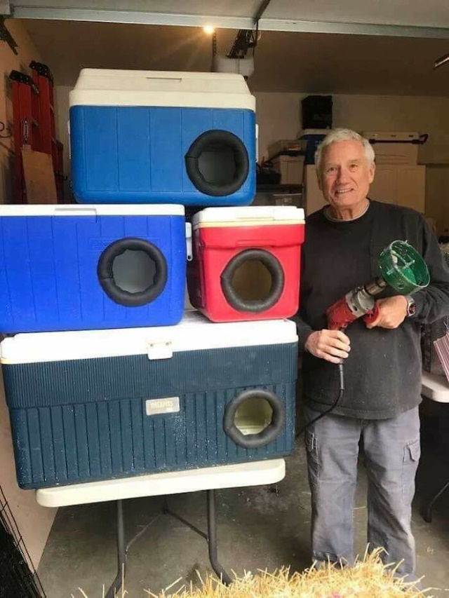 Recycling Projects old camp coolers to as kitty shelters