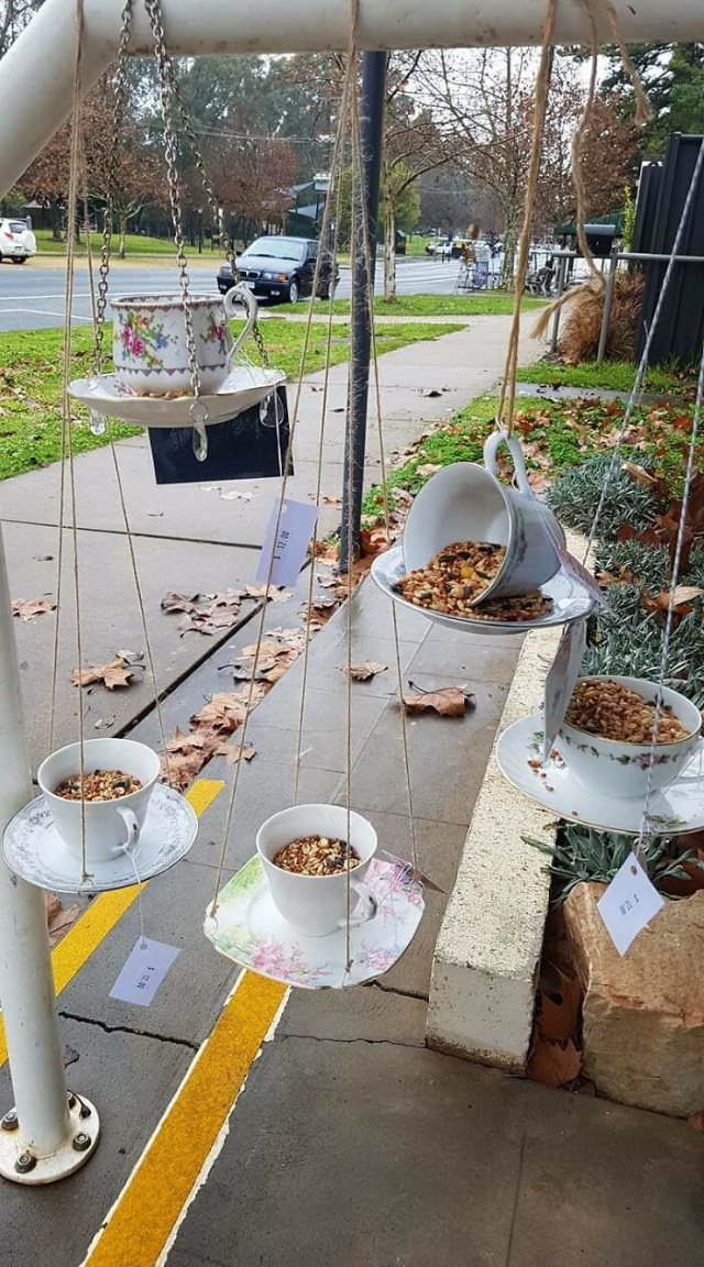 Recycling Projects bird feeders