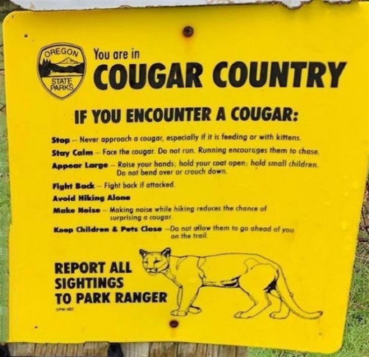 Useful Infographics cougar