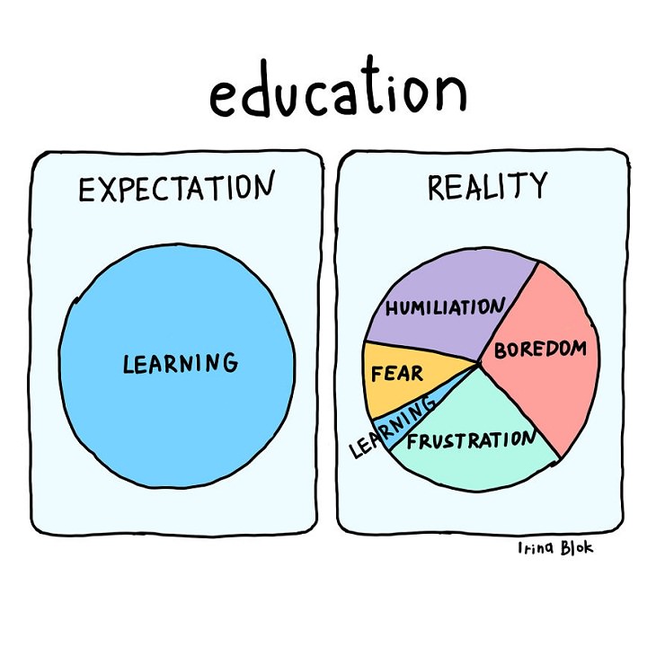 Honest Charts & Graphs, education