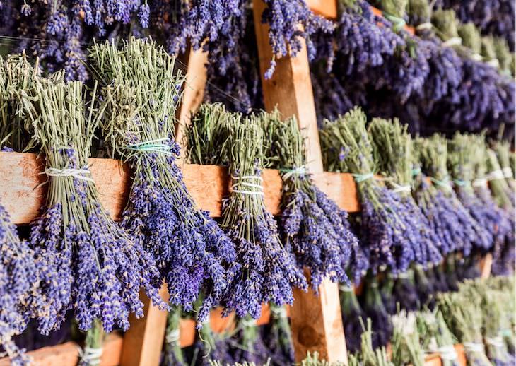 Unexpected Ways to Use Spices Outside the Kitchen dried lavender