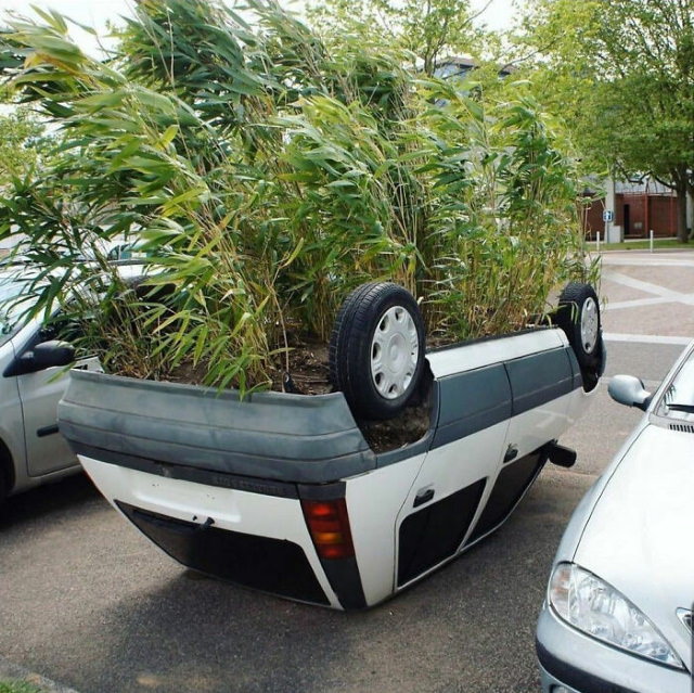 Funny Gardens car