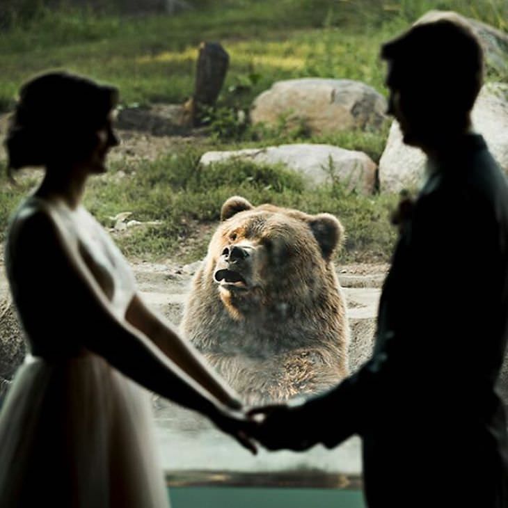 Funny Wedding Photos bear