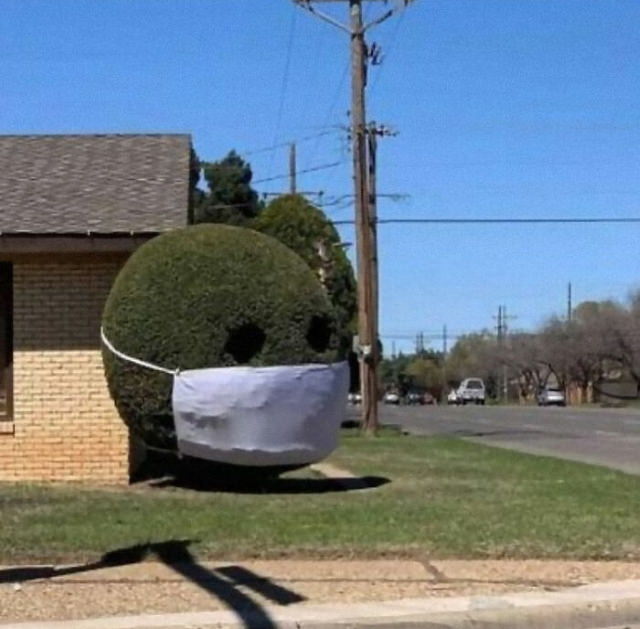 Funny Gardens masked topiary