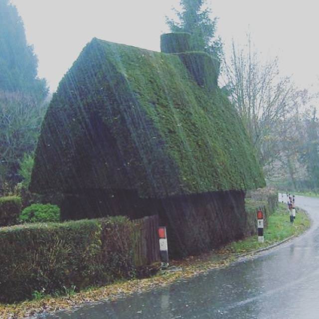 Funny Gardens house