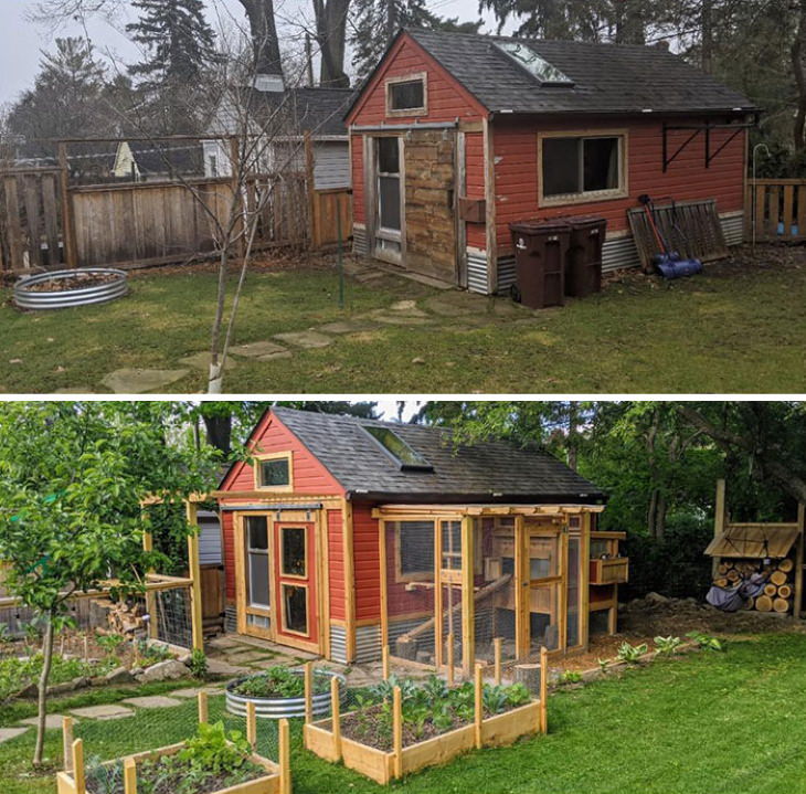 Quarantine Backyard Transformations garden and shed revived