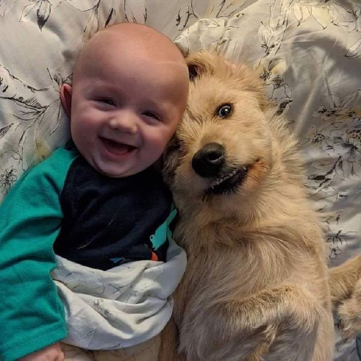 Funny Animals Pics, dog, baby