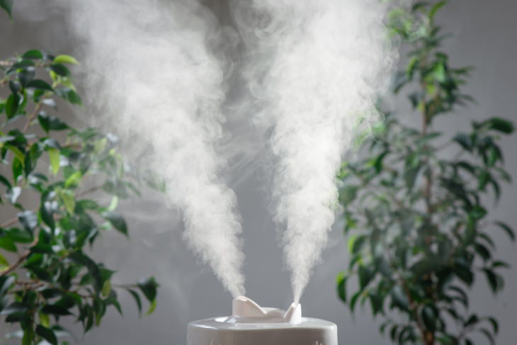 Health Hazards at Home Cool mist humidifier