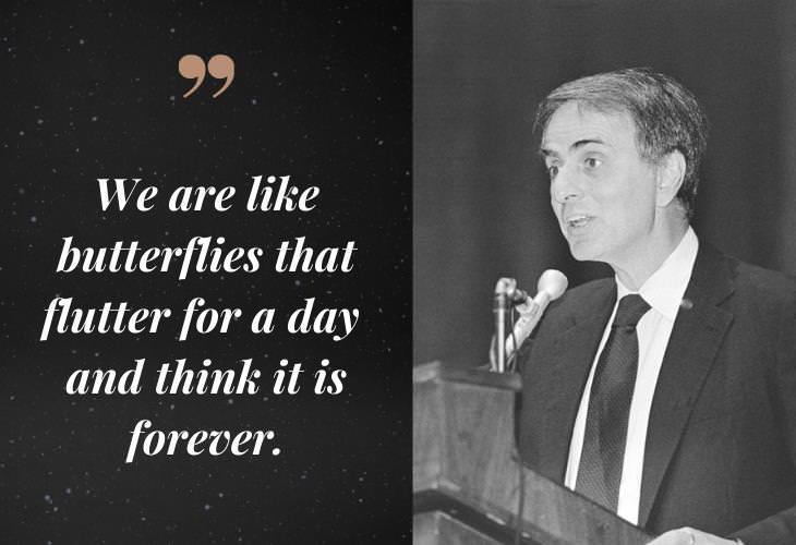 Carl Sagan Quotes, butterflies