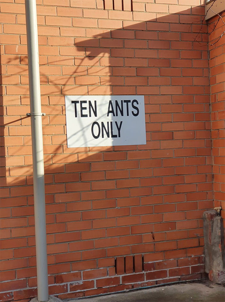 Funny Signs ten ants