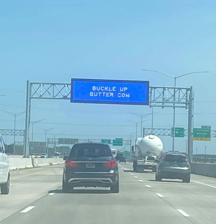 Funny Signs buckle up butter cow