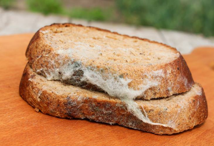 Food Safety Myths, mold, bread