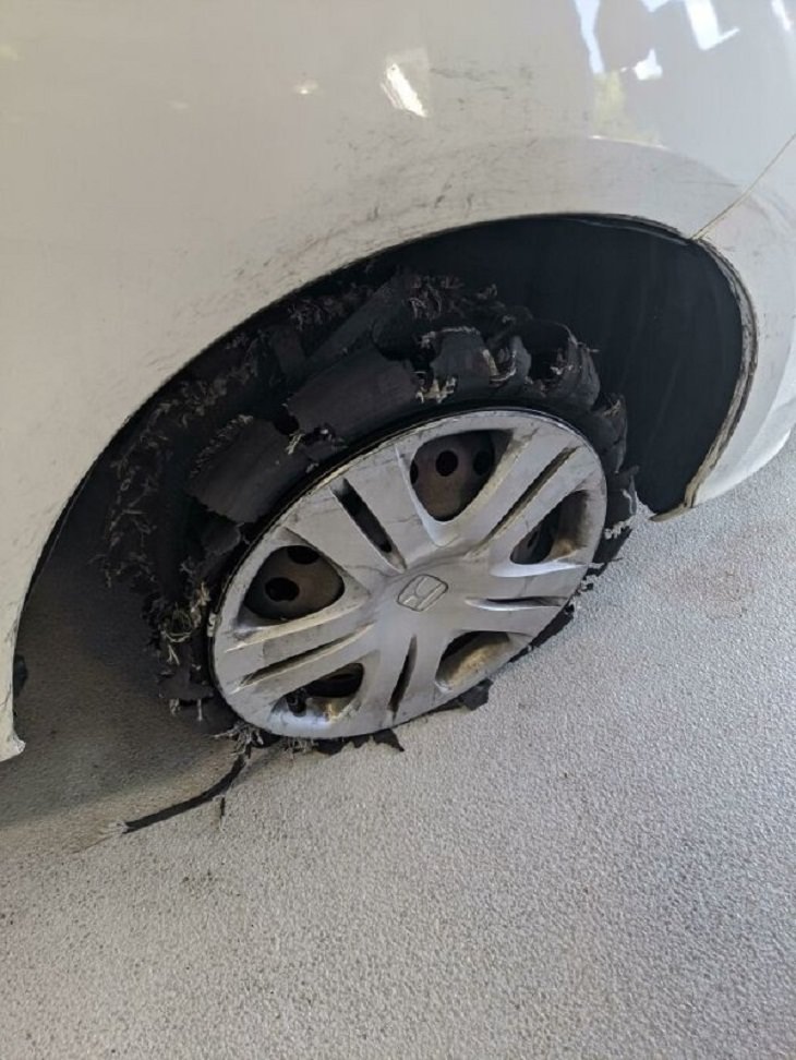 Driving Fails, tires